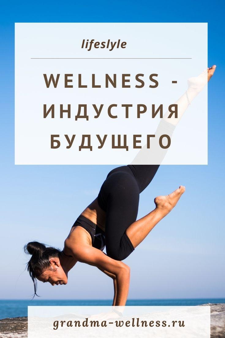 wellness что это-индустрия будущего