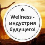 Wellness что это. Индустрия будущего