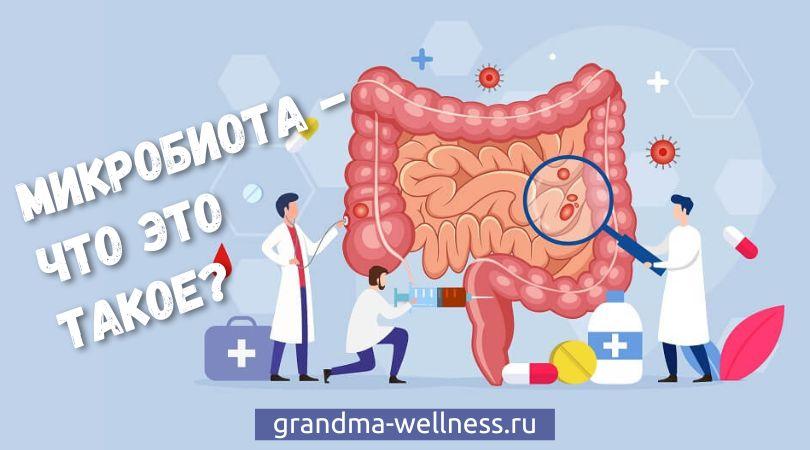 grandma-wellness.ru - Микробиота - что это