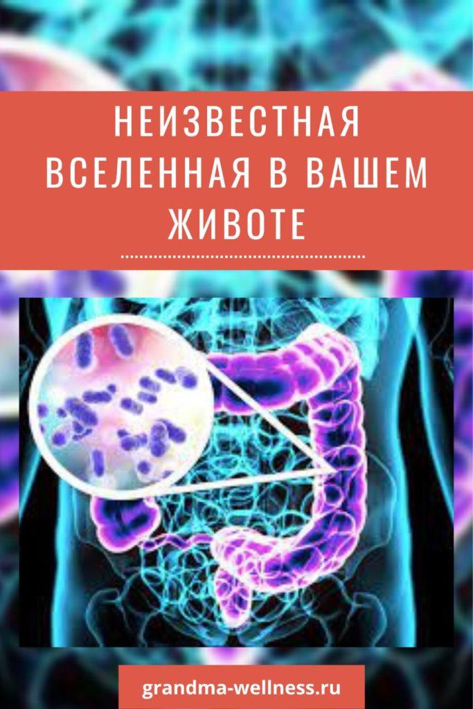Что такое микробиота: Неизвестная Вселенная в Вашем Животе