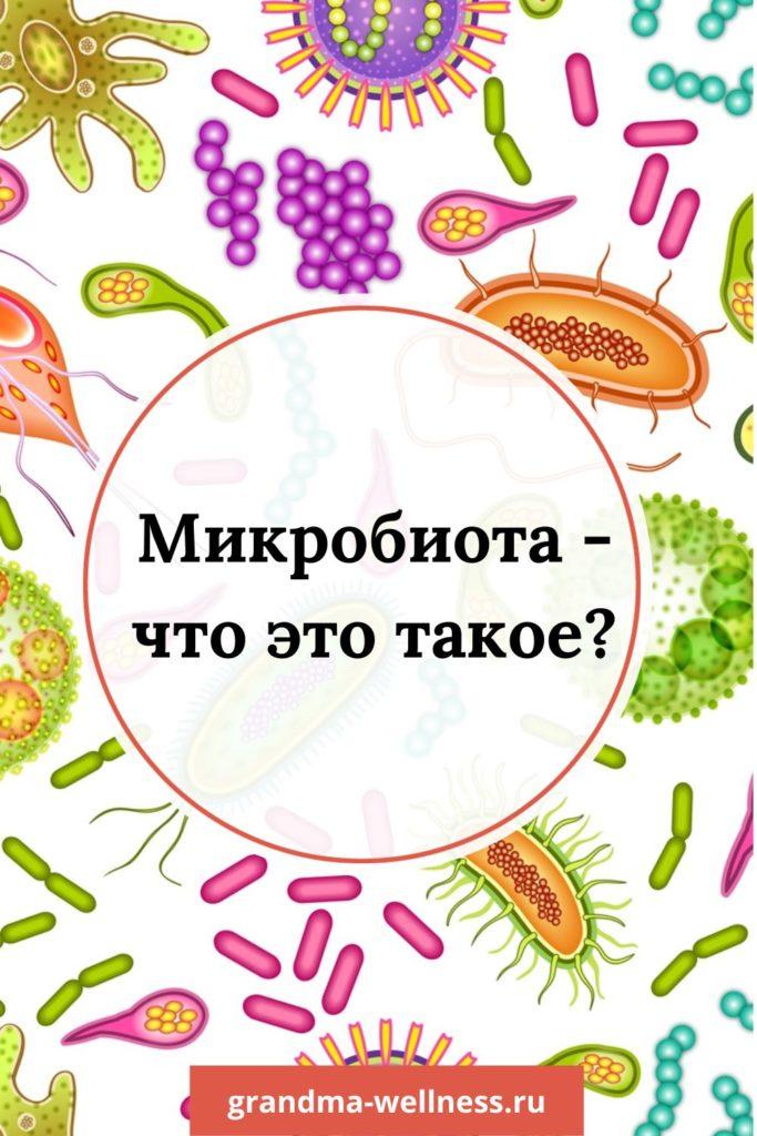 grandma-wellness.ru - Микробиота - что это - 3