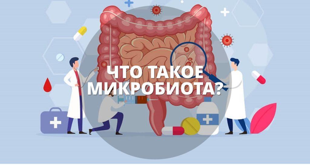 grandma-wellness.ru - Микробиота - что это-4