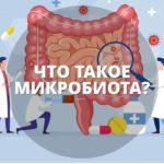 grandma-wellness.ru - Микробиота - что это-4