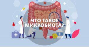 grandma-wellness.ru - Микробиота - что это-4